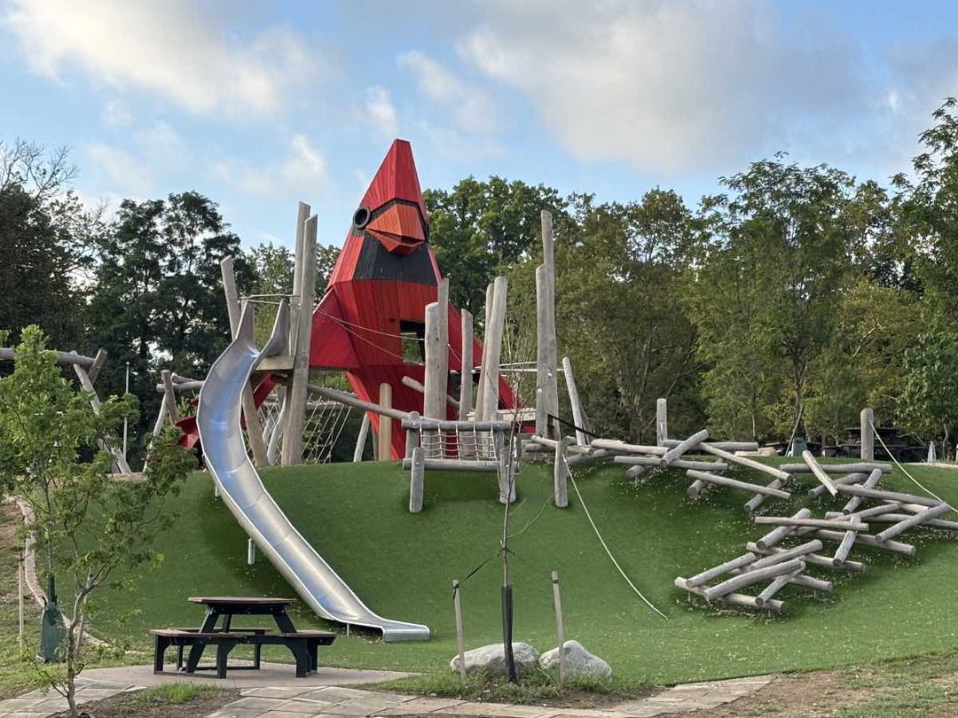 Cardinal Climbing Structure