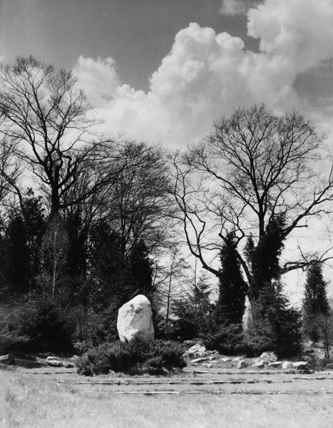 Harriet Keeler Memorial Woods