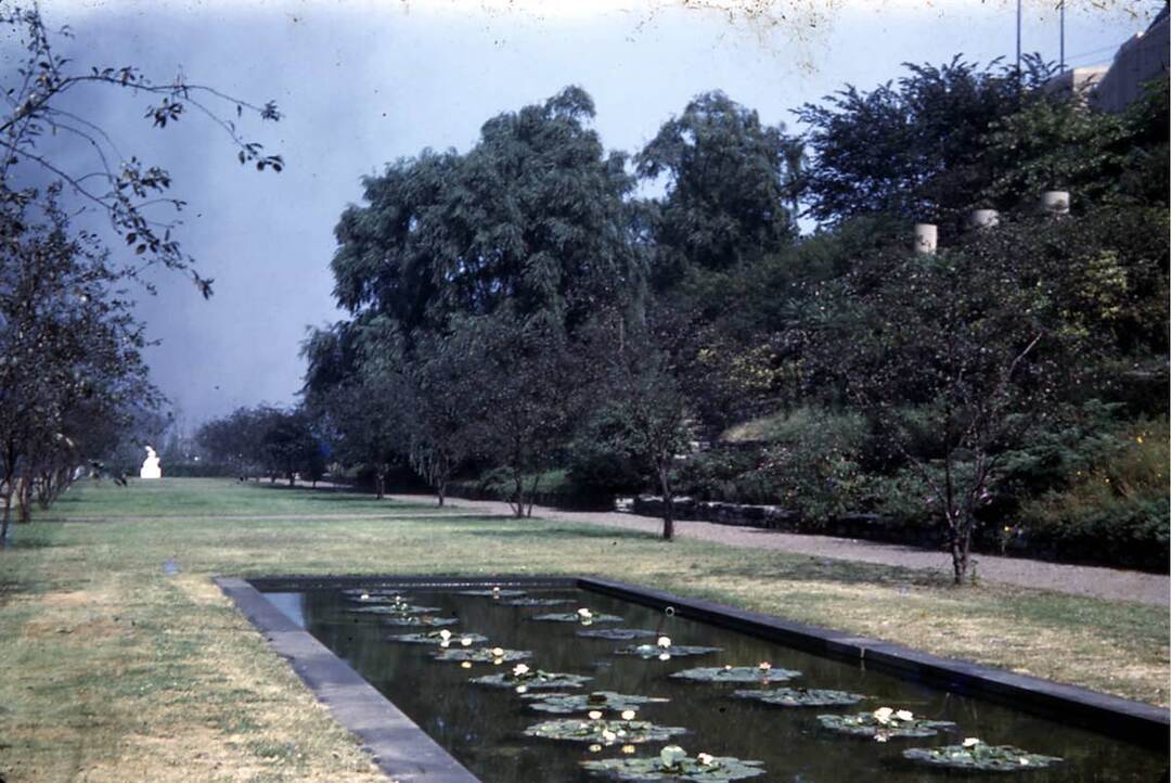 Sunken Garden in Donald Gray Gardens