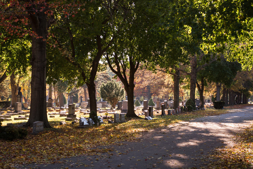 View Across Sections 10 and 11