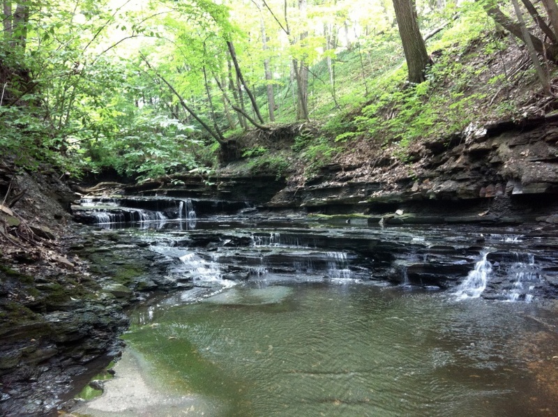 Waterfall in Lake View Cemetery, 2011