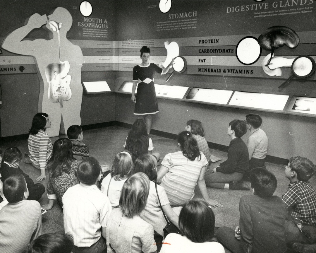 Exhibit on the Human Body Processes - 1968