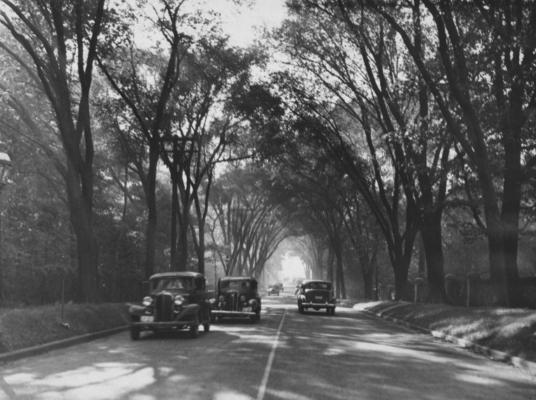 Lakeshore Boulevard, 1938