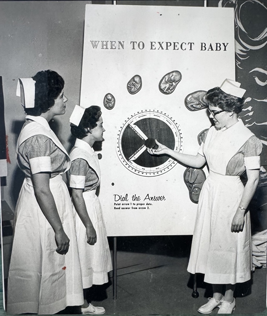 Human Gestation Exhibit - 1960