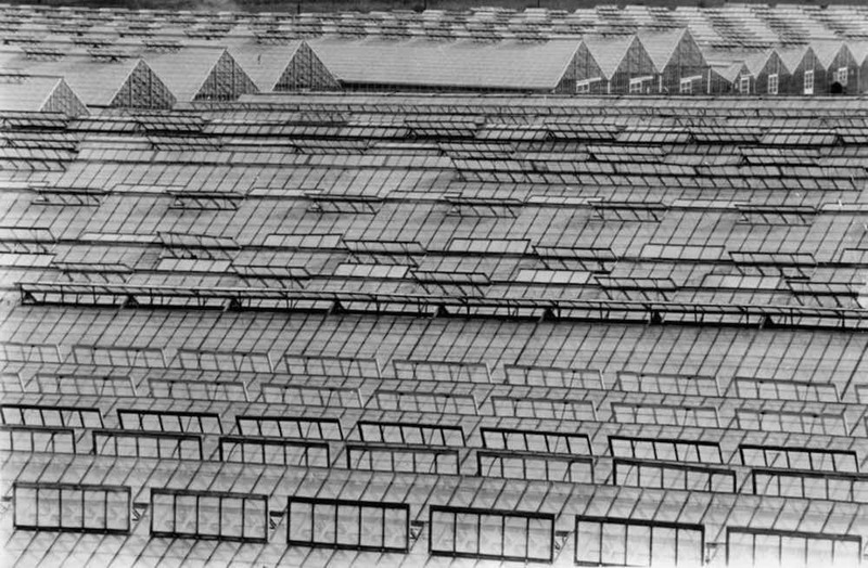 A "World Under Glass," 1970