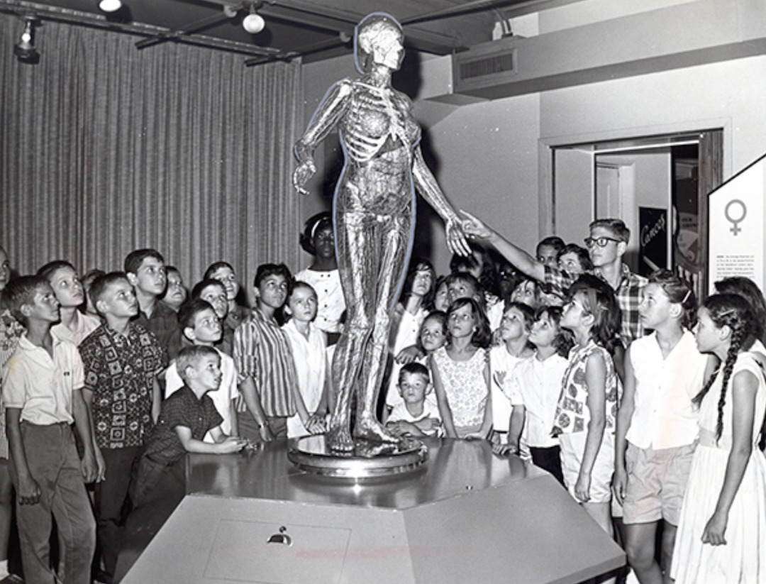 Juno on Display