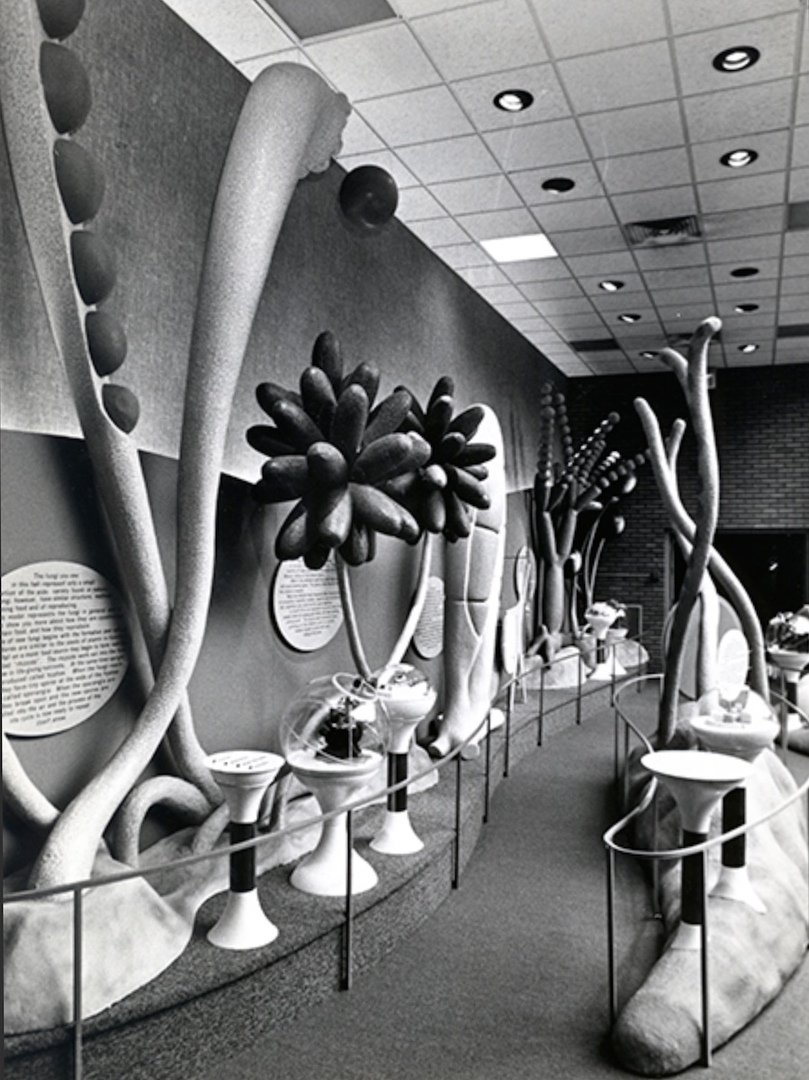 Fungi Exhibit Opens - 1974